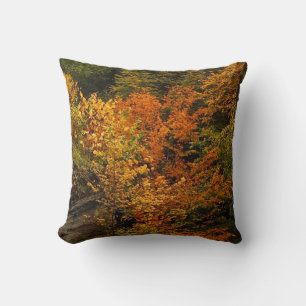 Cojín Decorativo Otoño en el Parque Estatal Treman