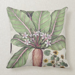 Cojín Decorativo Otoño Mandrake, del "Hortus Eystettensis" cerca