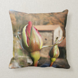 Cojín Decorativo Otoño toscano subió. Toscana