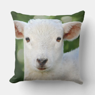 Cojín Decorativo Oveja Bebé Adorable