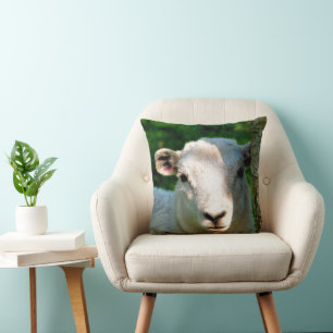 COJÍN DECORATIVO OVEJA PEQUEÑA Y BONITA