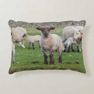Cojín Decorativo Oveja Shetland