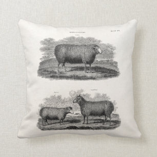 Cojín Decorativo Ovejas retras de los animales del campo de la