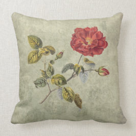Cojín Decorativo País elegante color de rosa francés del vintage