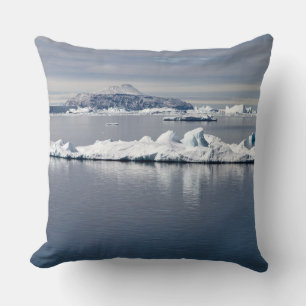 Cojín Decorativo Paisaje antártico