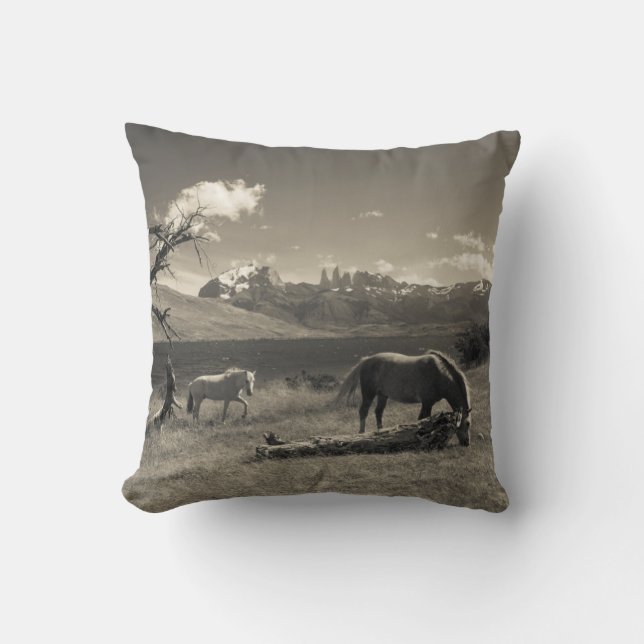 Cojín Decorativo Paisaje con caballos (Anverso)