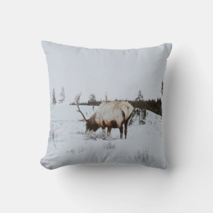 COJÍN DECORATIVO PAISAJE DE INVIERNO CON CERVEZA
