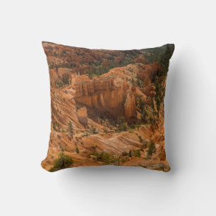Cojín Decorativo Paisaje del desierto del Parque Nacional del Cañ