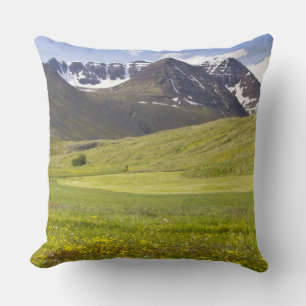 Cojín Decorativo Paisaje escénico del valle de Svarfadardalur