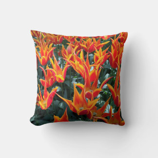 Cojín Decorativo Países Bajos Tulips Keukenhof Pillow Europe