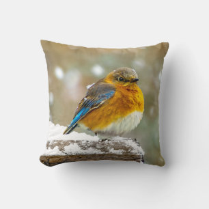Cojín Decorativo Pájaro azul oriental en nieve - Fotografía origina