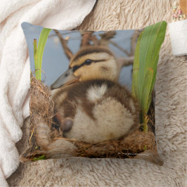 Cojín Decorativo Pájaro de bebé mallarín lindo precocioso