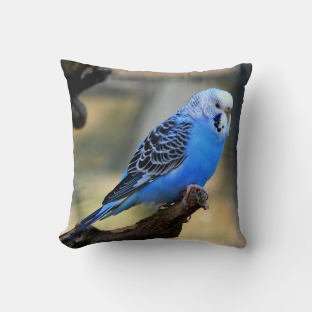 Cojín Decorativo Pájaro de loro azul Budgie (Anverso)