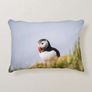 COJÍN DECORATIVO PÁJARO DE PÁJAROS SOBRE LA GRASA