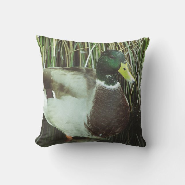 Cojín Decorativo Pájaro de vida silvestre Mallard Duck Photo Male L (Anverso)
