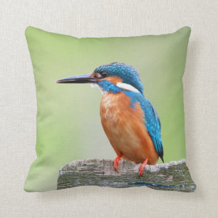 Cojín Decorativo Pájaro del martín pescador