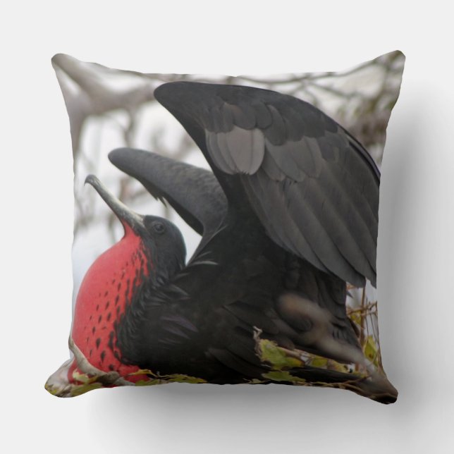Cojín Decorativo Pájaro Fragata Magnífico (Anverso)