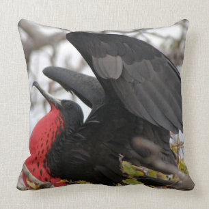 Cojín Decorativo Pájaro fragata magnífico