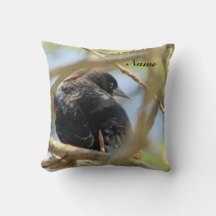 Cojín Decorativo Pájaro negro alado rojo