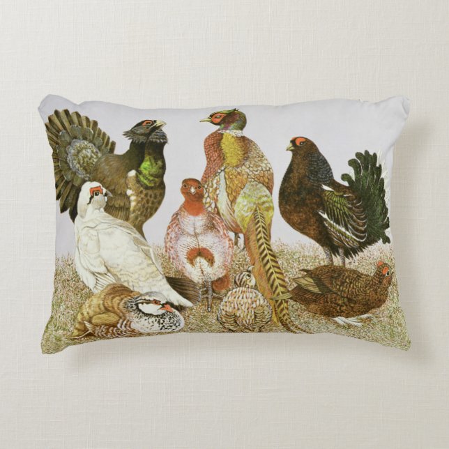 Cojín Decorativo Pájaros de juego (Anverso)