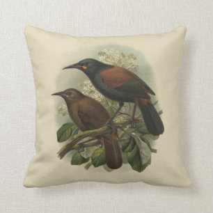 Cojín Decorativo Pájaros de la ciencia NZ del vintage - ensillada