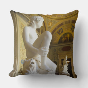 Cojín Decorativo Palacio de Invierno y Museo del Hermitage