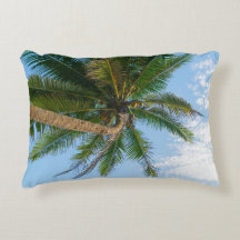 Palmera de coco tropical bajo cielo azul
