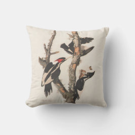 Cojín Decorativo Panceta leonera audubon