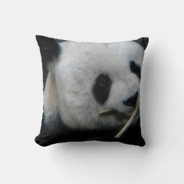 Cojín Decorativo Panda