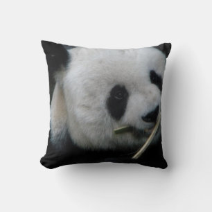 Cojín Decorativo Panda