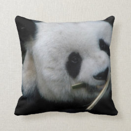 Cojín Decorativo Panda
