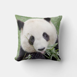 Cojín Decorativo Panda 3, gigante de la foto de almohada.