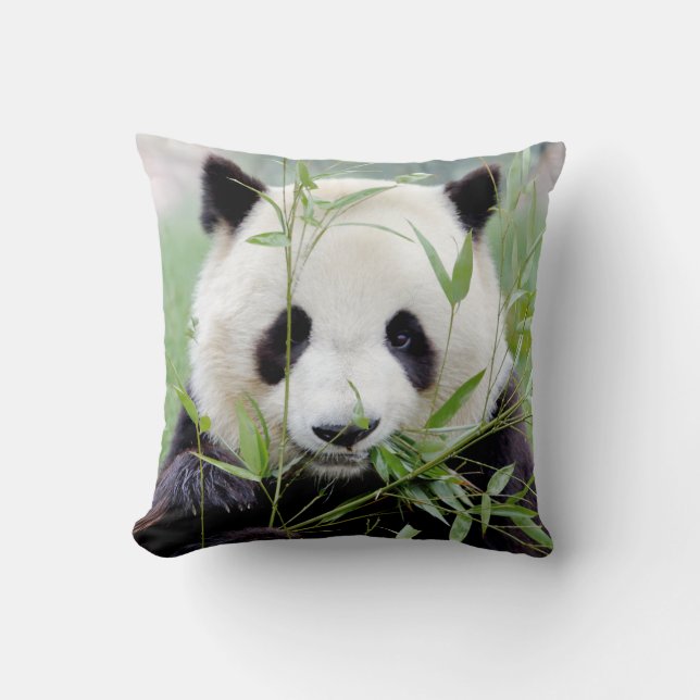 Cojín Decorativo Panda 4, gigante de la foto de almohada. (Anverso)
