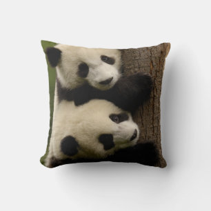Cojín Decorativo Panda bebés gigantes (Ailuropoda melanoleuca) 2