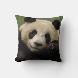 Cojín Decorativo Panda gigante Ailuropoda melanoleuca) Familia