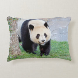 Cojín Decorativo Panda gigante de la foto de almohada.