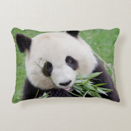 Cojín Decorativo Panda gigante de la foto de almohada.