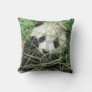 Cojín Decorativo Panda gigante que oculta en hierba