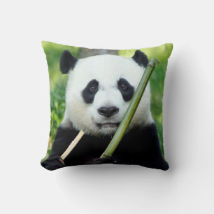 Cojín Decorativo Panda gigante que sostiene el bambú