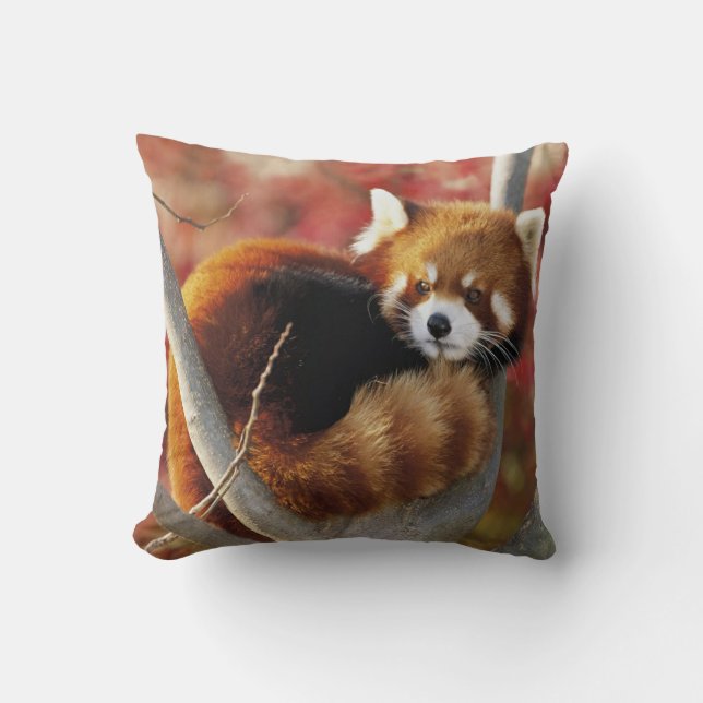 Cojín Decorativo Panda roja (Anverso)
