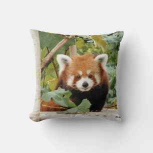 Cojín Decorativo Panda rojo
