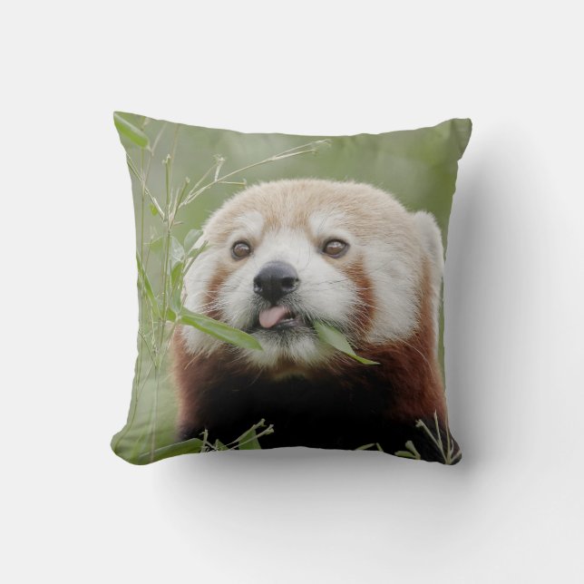 Cojín Decorativo Panda rojo con foto de almohada. (Anverso)