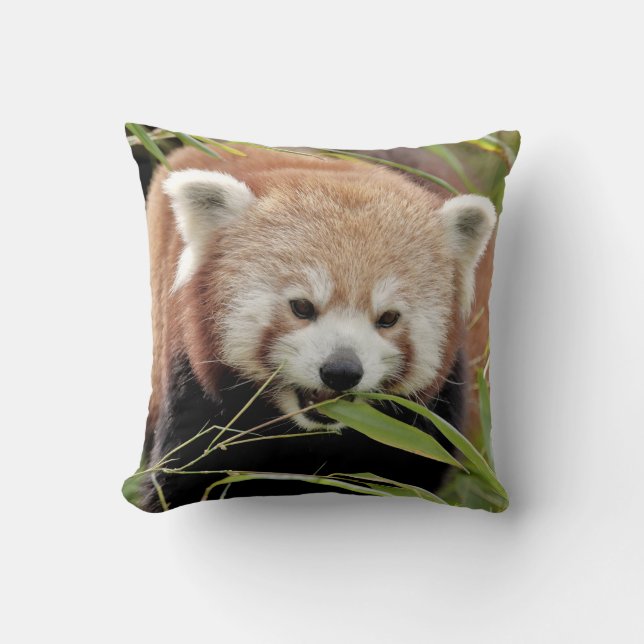 Cojín Decorativo Panda rojo con foto de almohada. (Anverso)