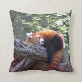 Cojín Decorativo Panda Rojo Dormido