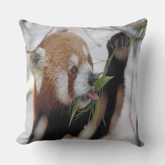 Cojín Decorativo Panda Rojo Hambriento (Anverso)