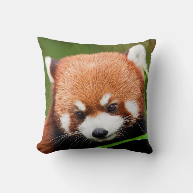 Cojín Decorativo Panda Rojo Lindo (Anverso)