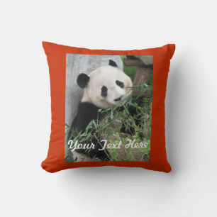 Cojín Decorativo Panda, su texto, parte posterior naranja sólida cu