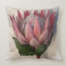 Papel acuarela protésico Rey Pillow
