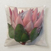 Papel acuático de papel rosa claro King Protea
