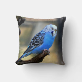 Cojín Decorativo Parakeet azul del loro de Budgie